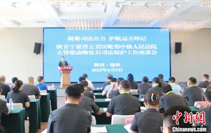 门徒平台：陕甘宁蒙晋五省区聚焦古脊椎动物化石司法保护